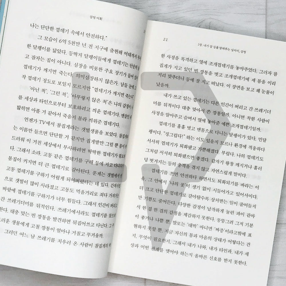Emotion Vocabulary 감정 어휘 - Life Pattern Korea