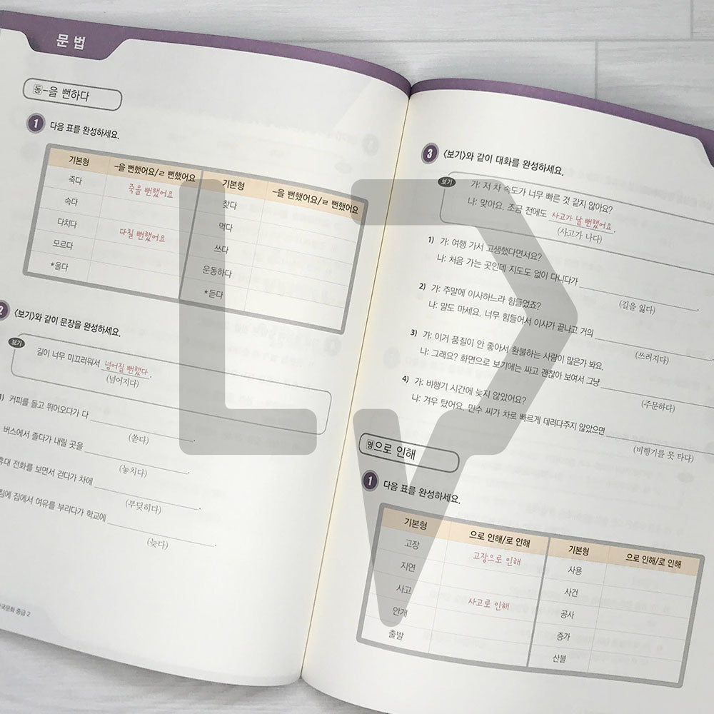 KIIP Korean Language and Culture Intermediate Level 2 Workbook 한국어와 한국문화 중급 2 익힘책