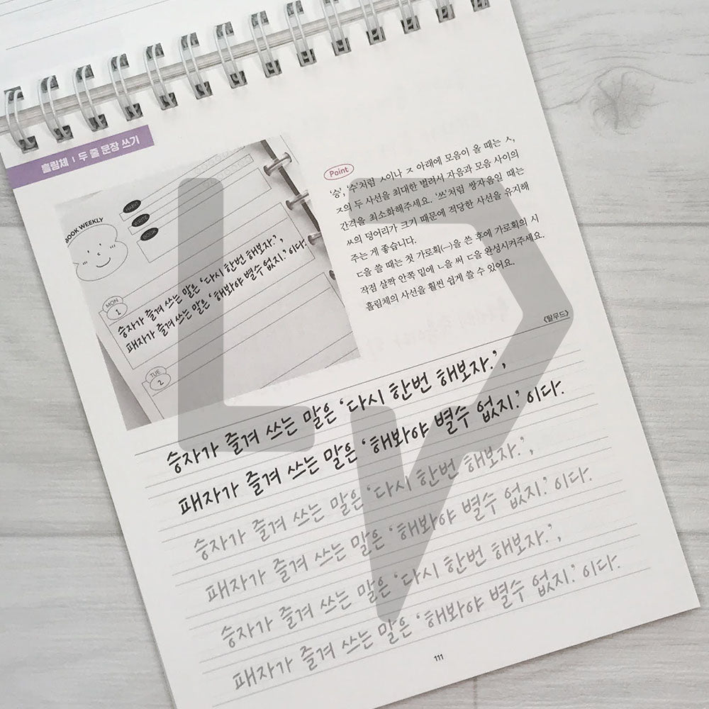 I want to be good at Korean handwriting like Callilove Workbook 2 The Sentences of Life 나도 캘리애처럼 손글씨 잘 쓰고 싶어 워크북 2 인생 문장 편 - Life Pattern Korea