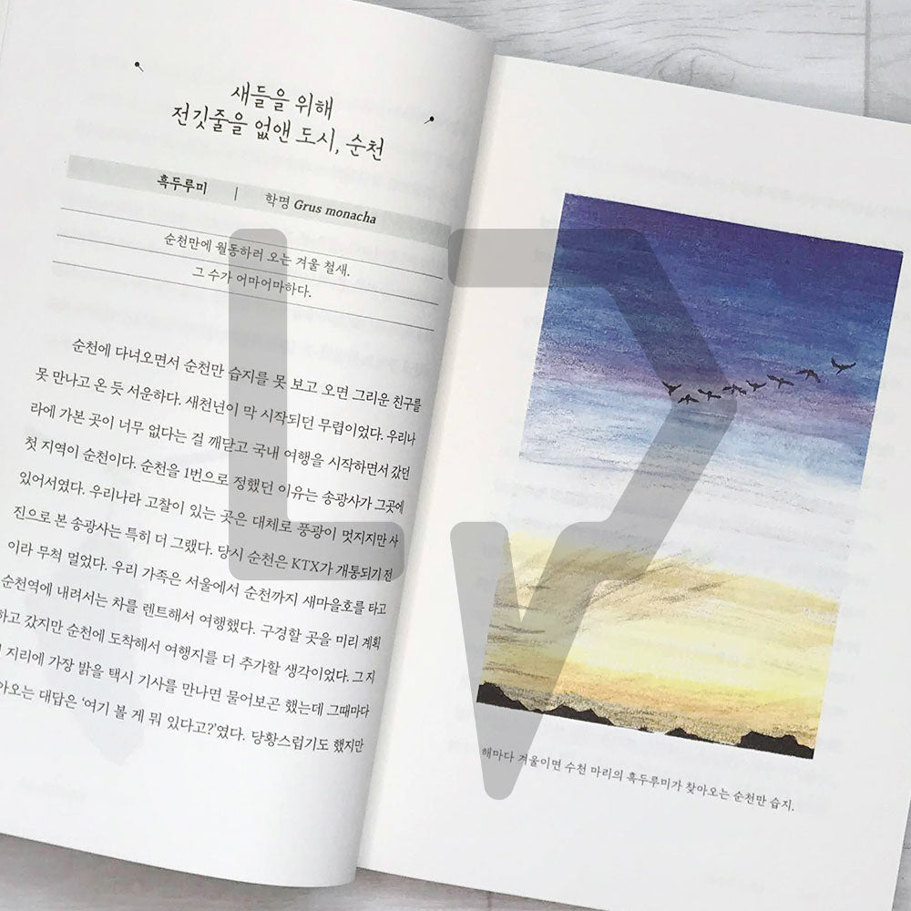 Four Seasons Memory Book 사계절 기억책