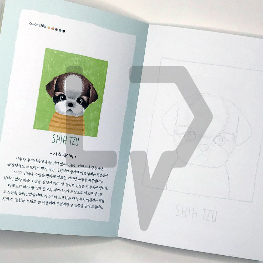5-Minute Coloring Book Dogs 5분 컬러링북 강아지 - Life Pattern Korea
