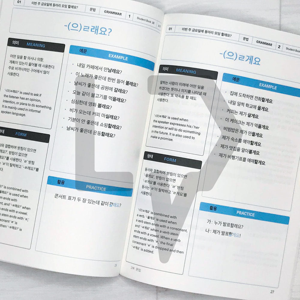 Sejong Korean Vocabulary & Grammar Book 세종한국어 어휘 표현과 문법 2B (2022 Edition)