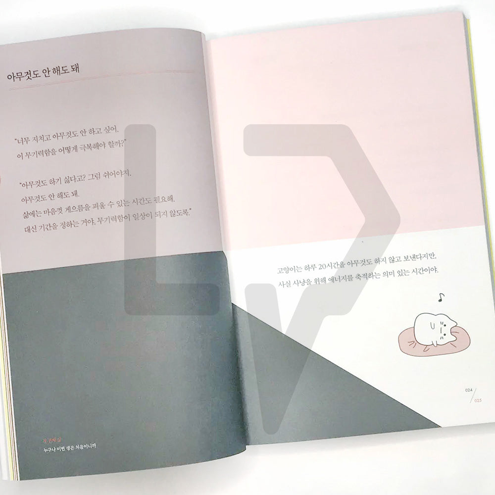 Since there are many reasons, I only say just 이유가 많으니 그냥이라고 할 수밖에 - Life Pattern Korea
