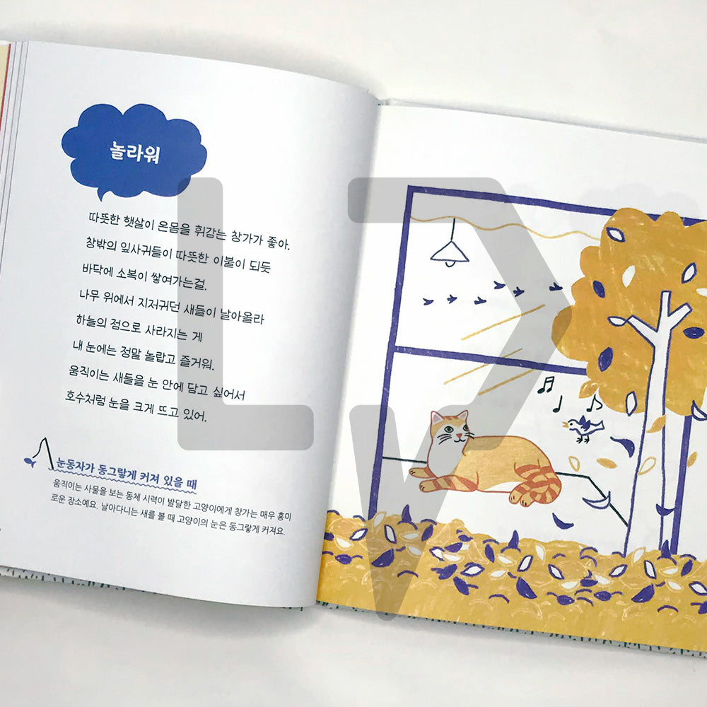 Cat's Mind Dictionary 고양이 마음 사전 - Life Pattern Korea