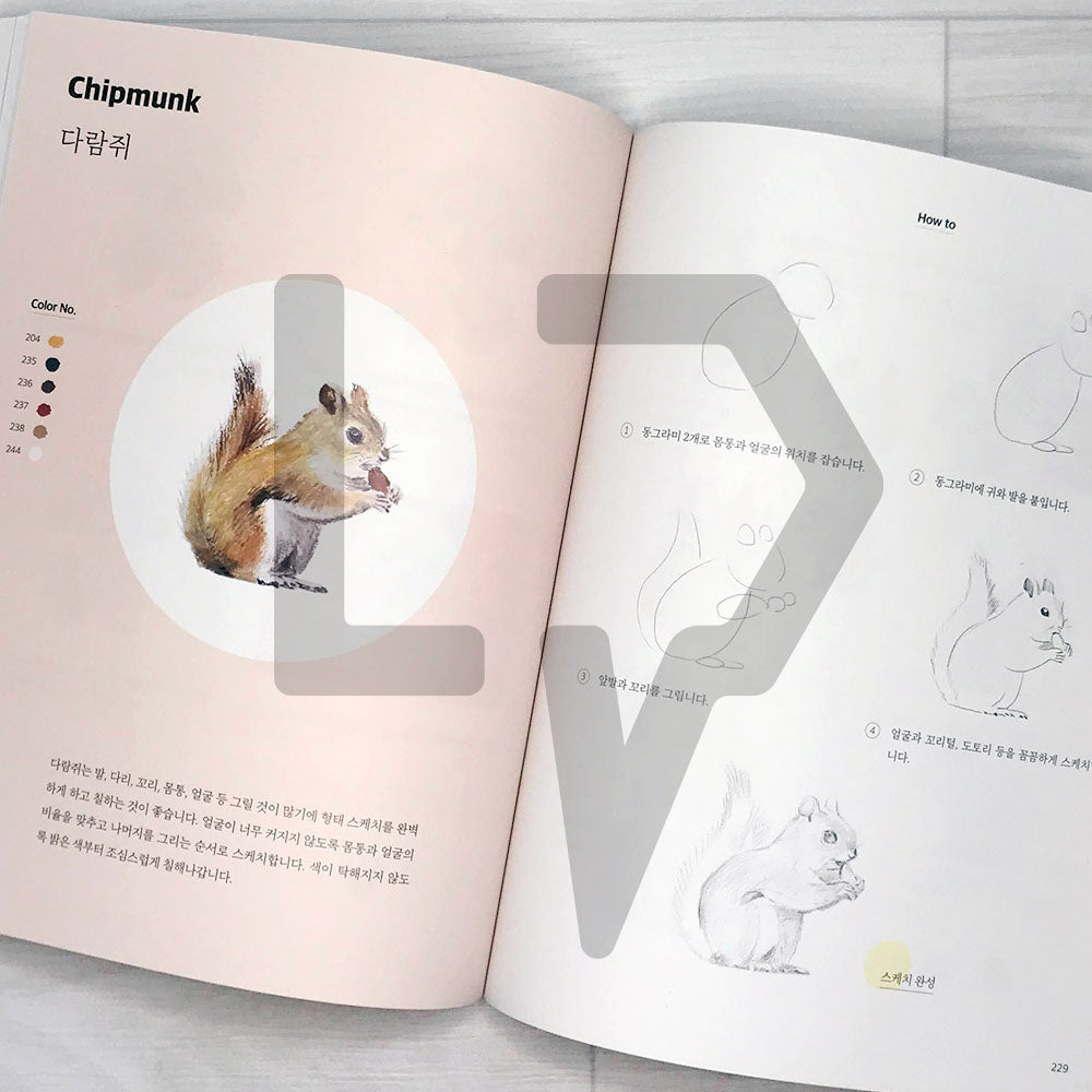 Drawing Day Class for Beginner (I Start Drawing Today) by Maca & Caron 오늘부터 그림 그리기를 시작합니다 - Life Pattern Korea