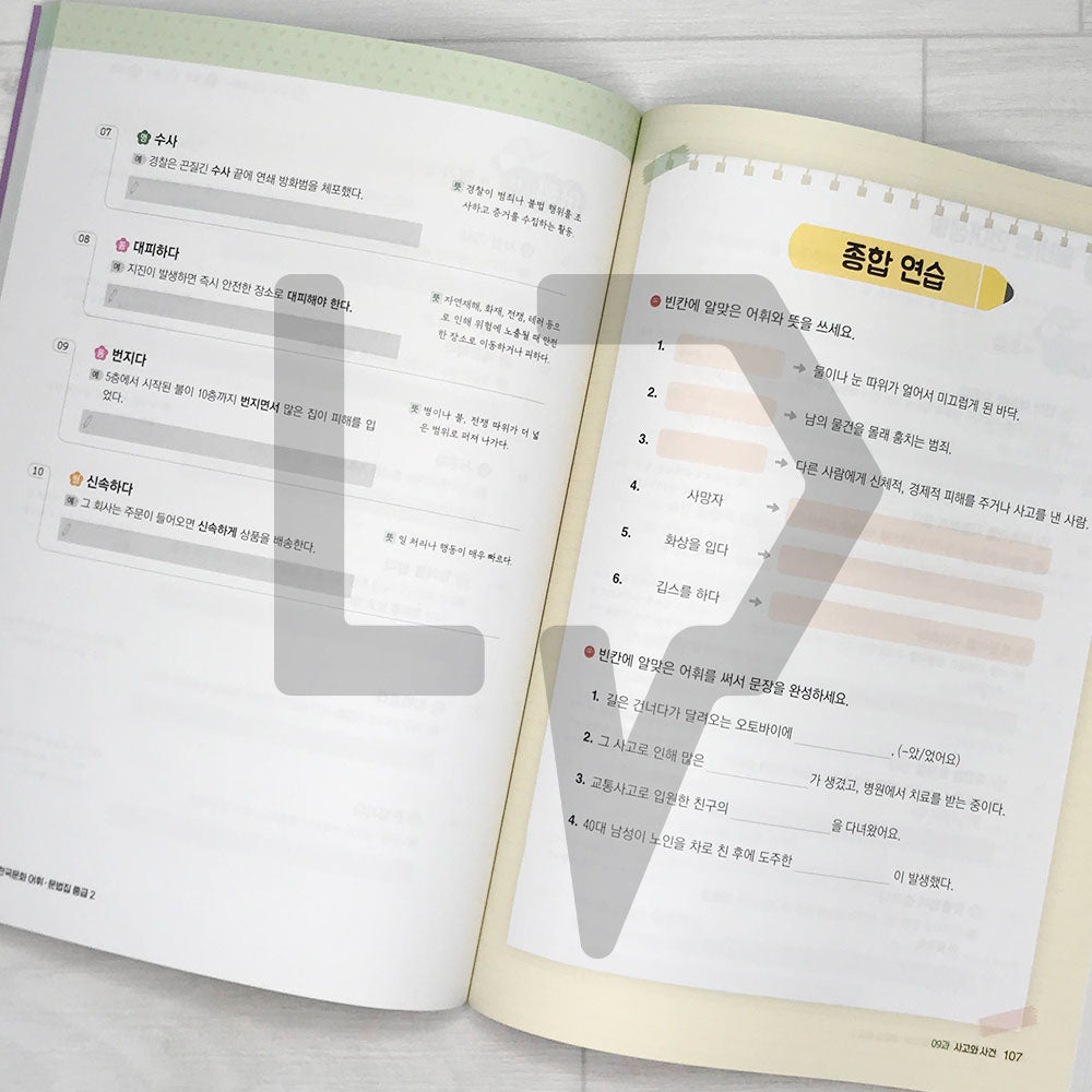 KIIP Korean Language and Culture Intermediate Level 2 Vocabulary & Grammar 한국어 한국문화 어휘 & 문법집 중급 2