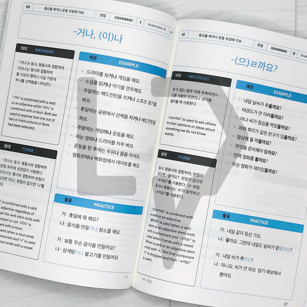 Sejong Korean Vocabulary & Grammar Book 세종한국어 어휘 표현과 문법 2A (2022 Edition)