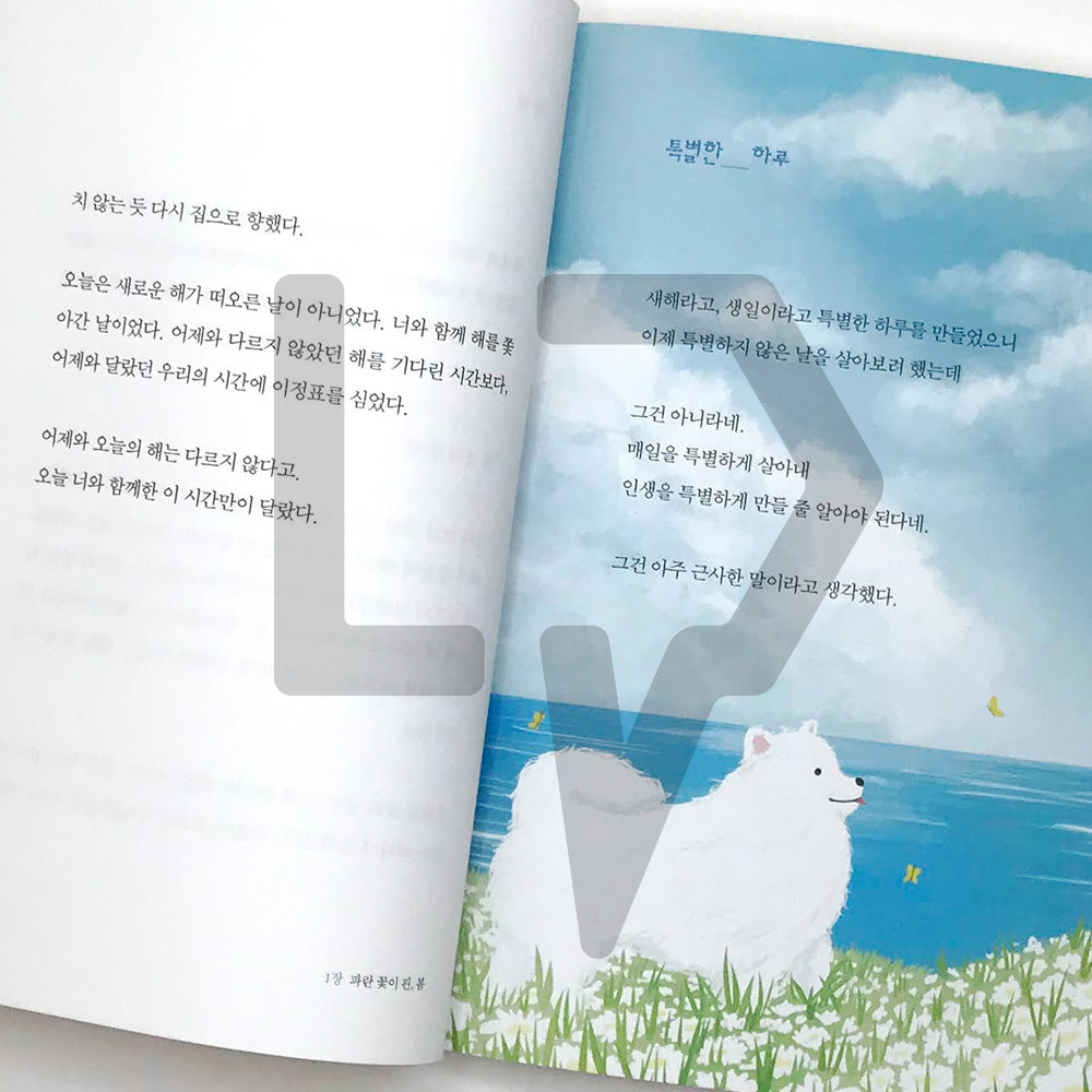 You have lived a fine life since you've made an effort also today 괜찮게 살아온 거야 오늘도 애쓴 너라서 - Life Pattern Korea