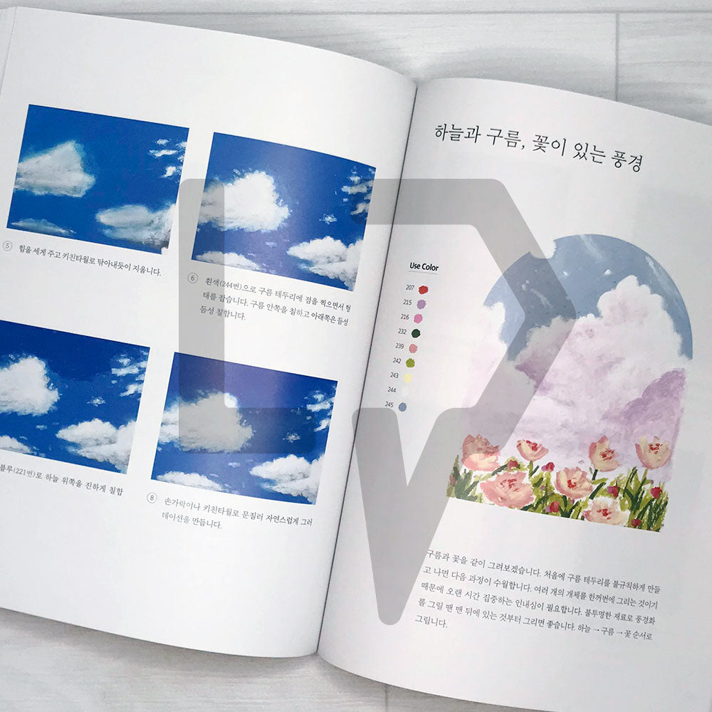 Drawing Day Class for Beginner (I Start Drawing Today) by Maca & Caron 오늘부터 그림 그리기를 시작합니다 - Life Pattern Korea