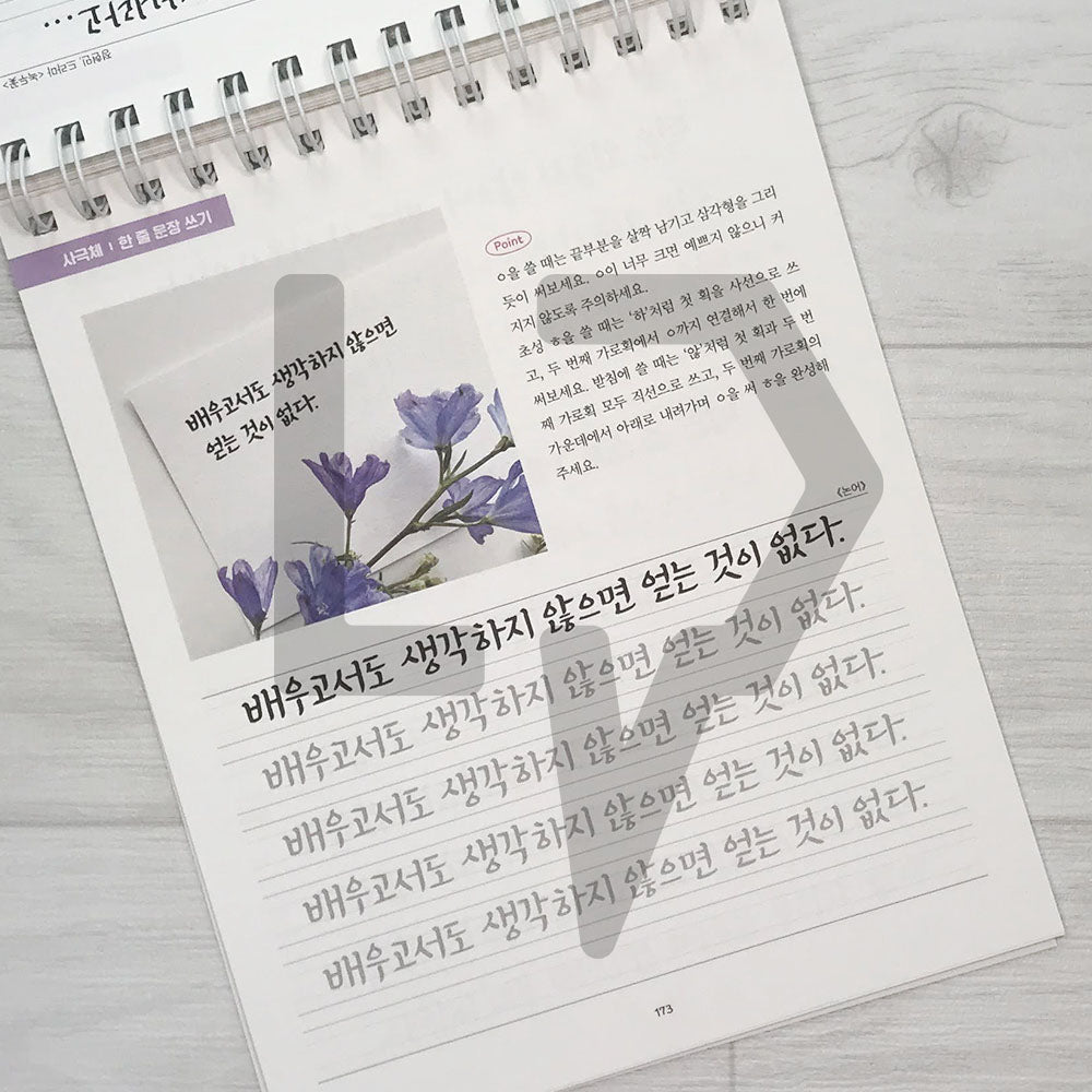 I want to be good at Korean handwriting like Callilove Workbook 2 The Sentences of Life 나도 캘리애처럼 손글씨 잘 쓰고 싶어 워크북 2 인생 문장 편 - Life Pattern Korea