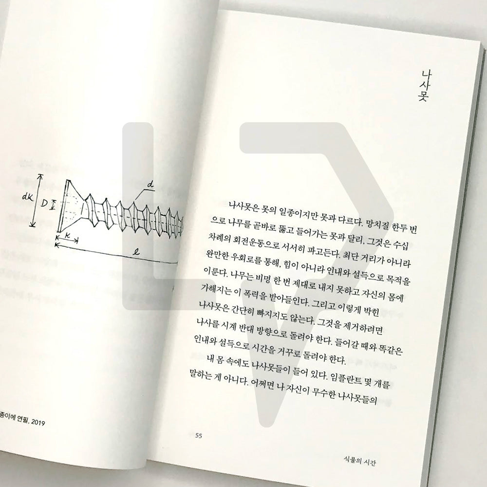 The Other Side of Things 사물의 뒷모습 - Life Pattern Korea