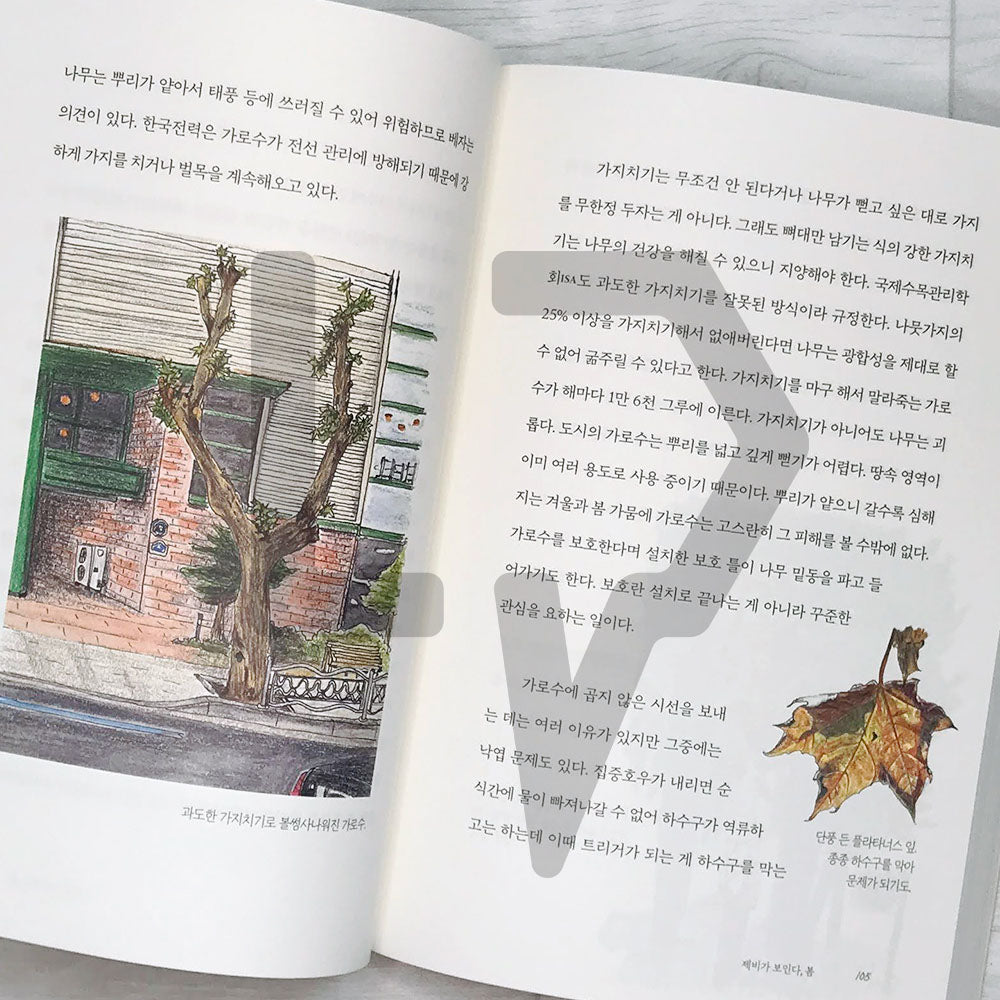 Four Seasons Memory Book 사계절 기억책