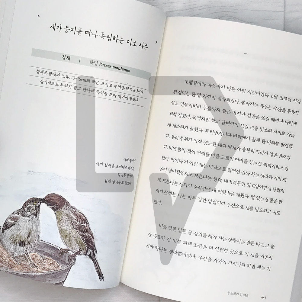 Four Seasons Memory Book 사계절 기억책