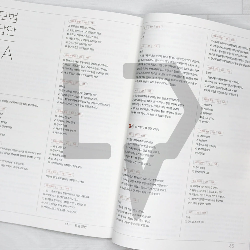 Sejong Korean Workbook 세종한국어 익힘책 4A (2022 Edition)