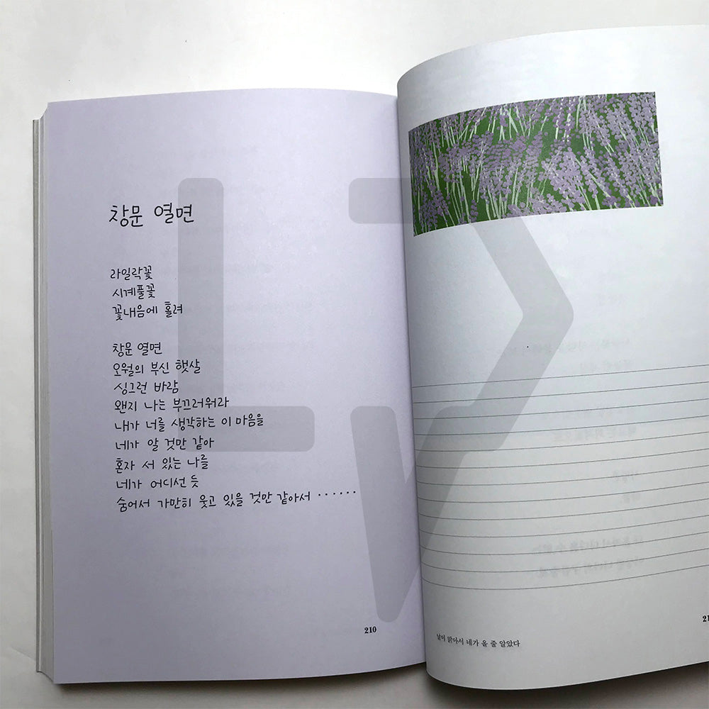 Longing that only you don’t know 너만 모르는 그리움 - Life Pattern Korea